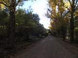 IMG 7469