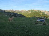 La travessa dels Pirineus per la A.R.P.