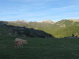 La travessa dels Pirineus per la A.R.P.