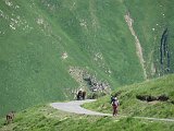 La travessa dels Pirineus per la A.R.P.