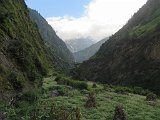 IMG 4102