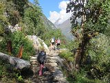 IMG 4339