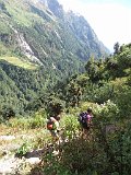 IMG 4368