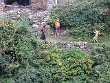 IMG 4414