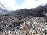 IMG 4853