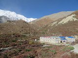 IMG 5563