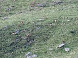 IMG 1235