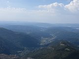 IMG 1310