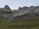 IMG 1439