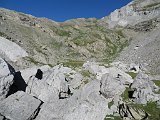 IMG 1732