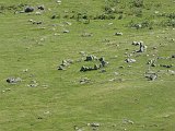 Voltetes per Navarra. Pirineus occidentals