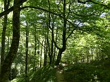 Voltetes per Navarra. Pirineus occidentals