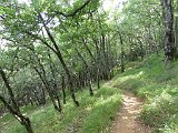 Voltetes per Navarra. Pirineus occidentals