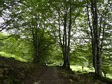 Voltetes per Navarra. Pirineus occidentals