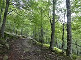 Voltetes per Navarra. Pirineus occidentals