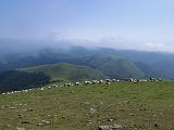 Voltetes per Navarra. Pirineus occidentals