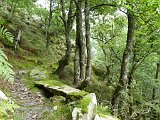 Voltetes per Navarra. Pirineus occidentals