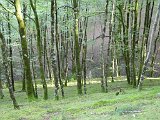 Voltetes per Navarra. Pirineus occidentals