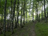 Voltetes per Navarra. Pirineus occidentals