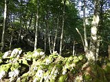 Voltetes per Navarra. Pirineus occidentals