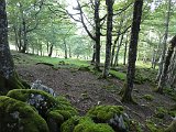 Voltetes per Navarra. Pirineus occidentals