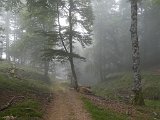 Voltetes per Navarra. Pirineus occidentals