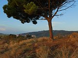 Travessa Collserola