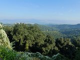 Travessa Collserola