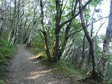 Travessa de Cabo Higuer a Finisterre