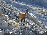 La travessa dels Pirineus per la A.R.P.