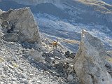 La travessa dels Pirineus per la A.R.P.