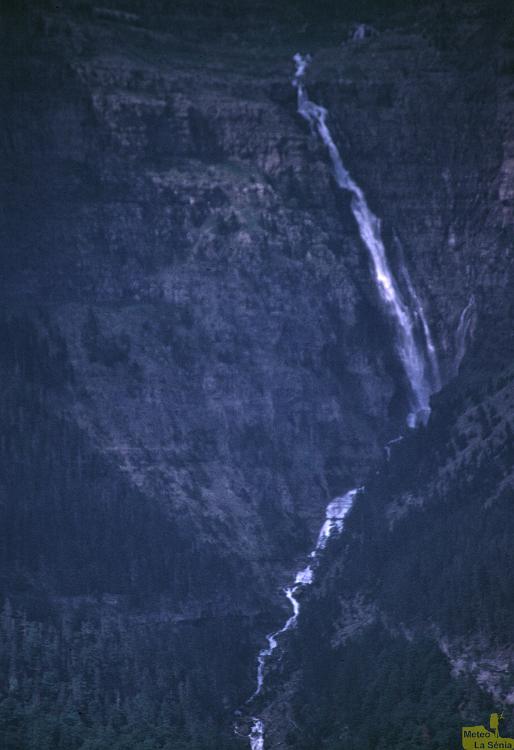 OR 0094
