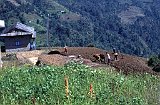 Everest95  (164)