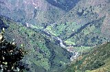 Everest95  (212)