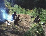 Everest95  (354)