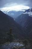 Everest95  (366)