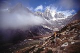 Everest95  (506)