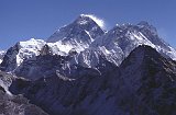 Everest95  (553)