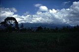 Africa001