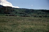 Africa010