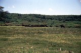 Africa011