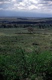 Africa021