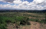 Africa022