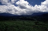 Africa029