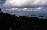 Africa033