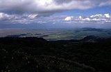 Africa035