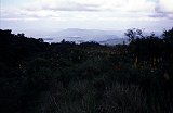 Africa040