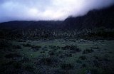 Africa043