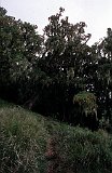 Africa056