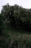 Africa057